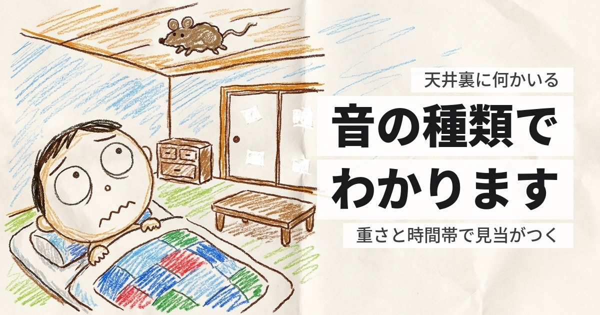 天井裏に何かいる｜音の種類で、何がいるか見当をつける