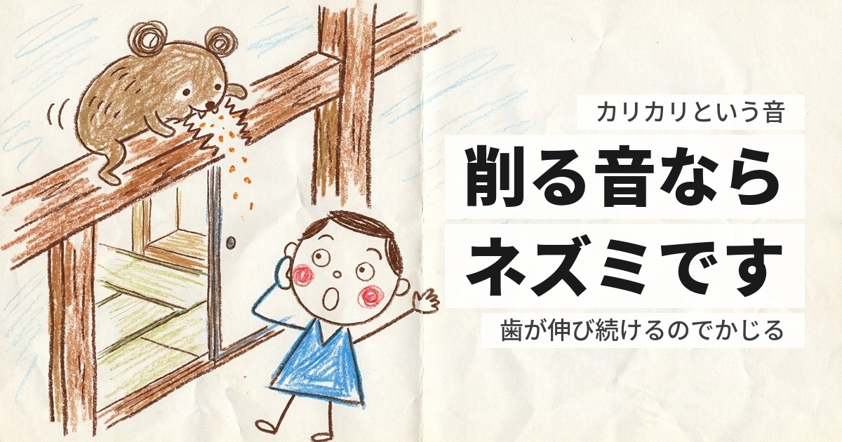 天井裏でカリカリ音がする｜削る音がしたら、ほぼネズミです