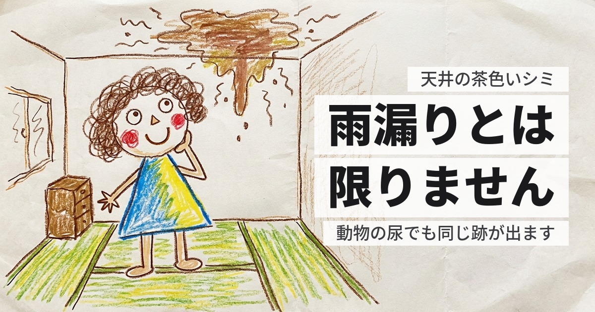 天井のシミが雨漏り以外の原因かどうか｜3つで見分けられます