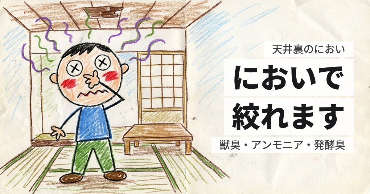 天井裏から動物の臭いがする|臭いの種類で、いる動物が分かります