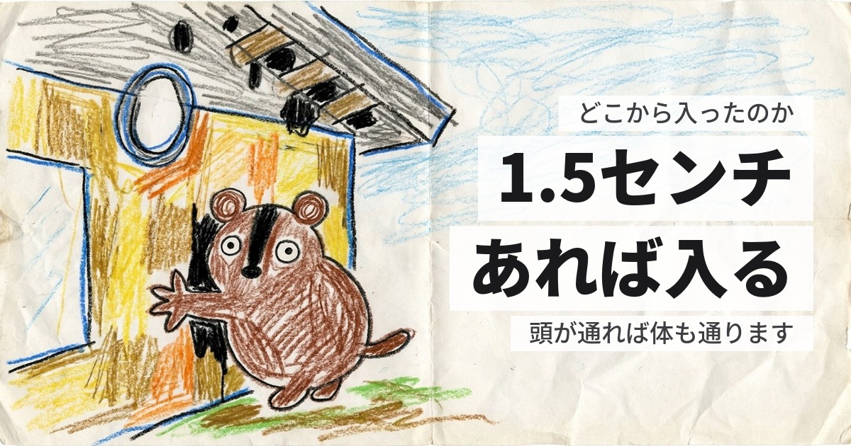 天井裏の動物はどこから入る？隙間の大きさで、入れる動物が決まります