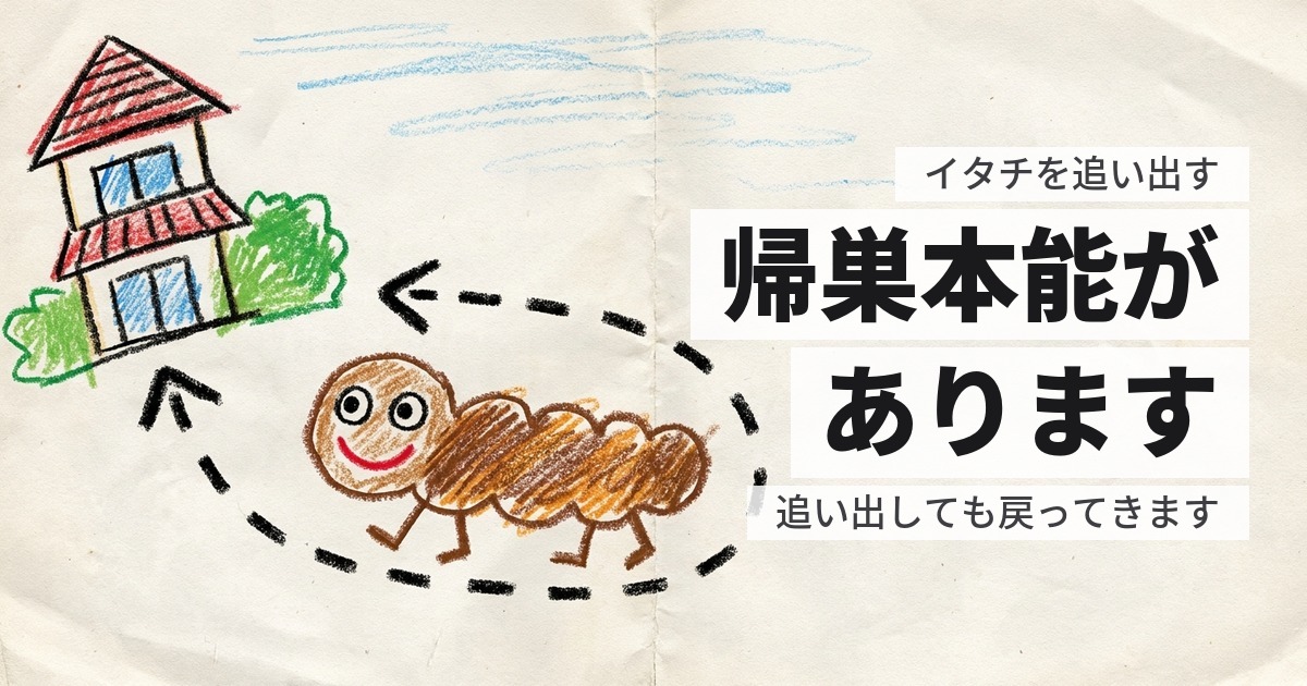 イタチを追い出す方法｜追い出せても、戻ってくる相手です