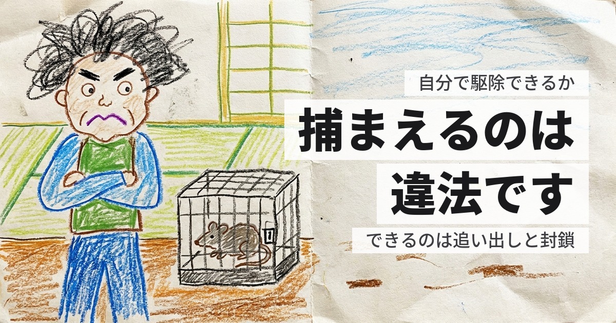 イタチを自分で駆除できるか｜できることと、できないこと