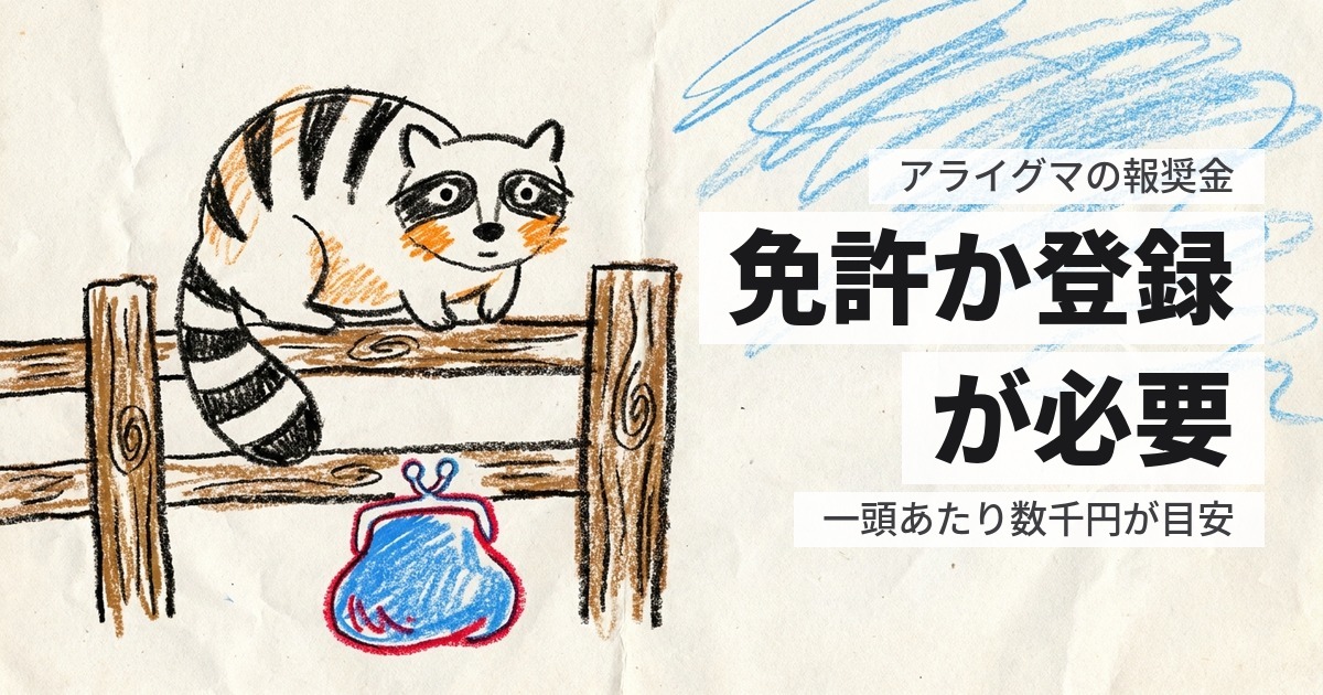 アライグマの駆除に報奨金は出るか｜条件が厳しい制度です