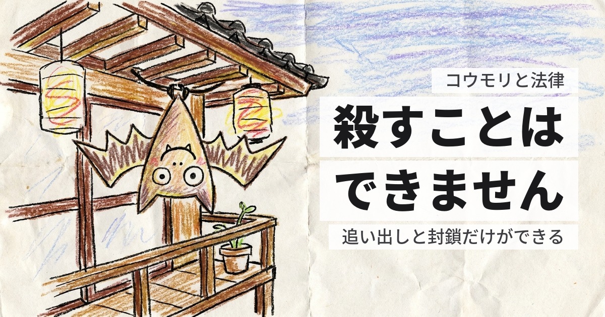 コウモリを追い出すときの法律｜殺すことも捕まえることもできません