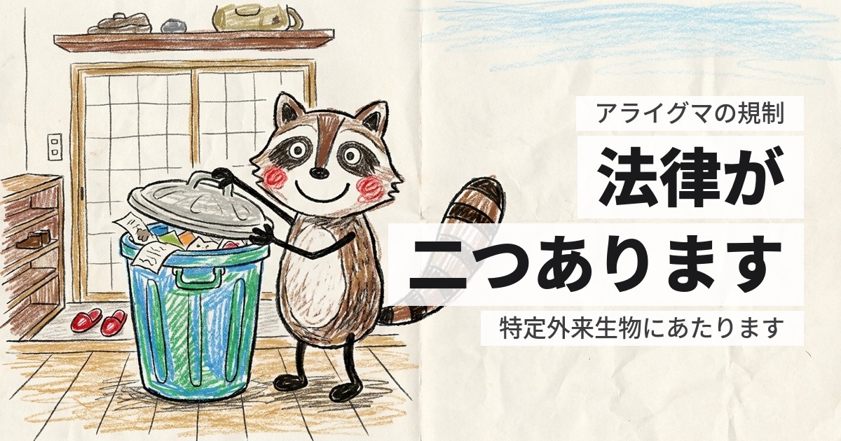 アライグマの駆除に法律の制限はあるか｜2つの法律がかかります