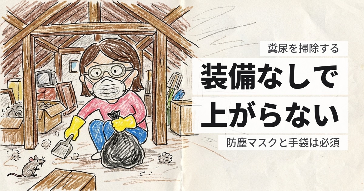 ハクビシンの糞尿を掃除する｜装備なしで上がってはいけません