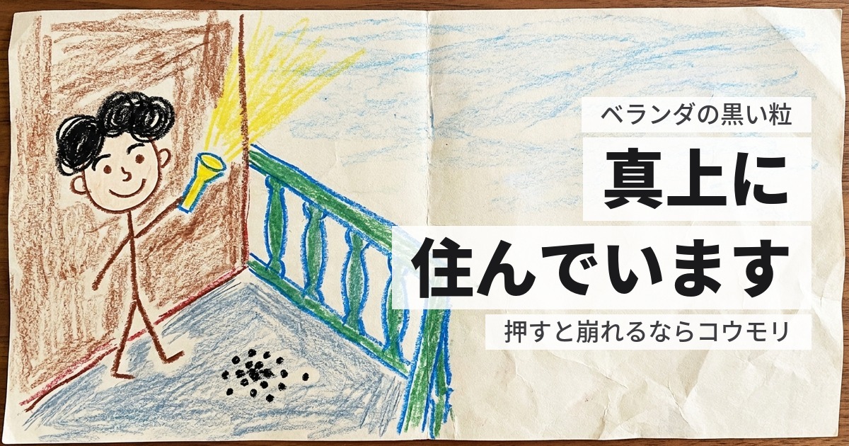 コウモリのフンがベランダに落ちている｜掃除しても、また積もります