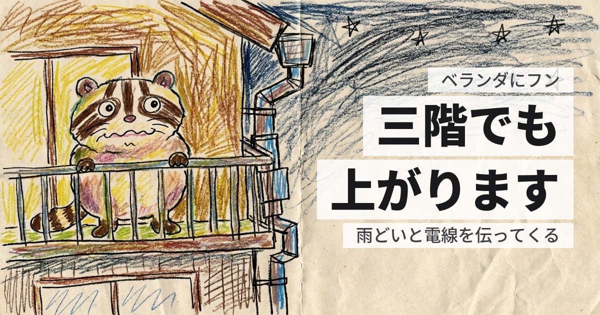 ハクビシンがベランダにフンをする｜マンションの上階でも来ます