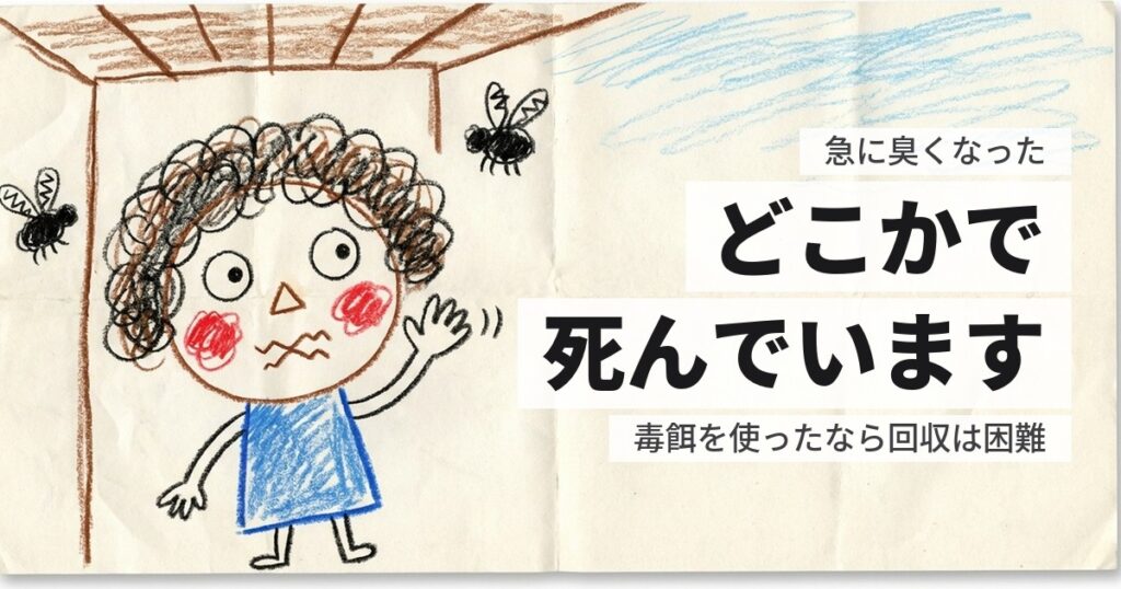 ネズミの死骸を処分する｜探し方と、見つからない場合