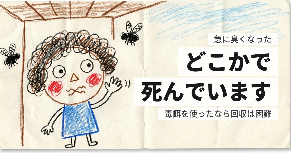 ネズミの死骸を処分する｜探し方と、見つからない場合