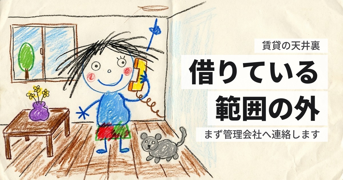 賃貸の天井裏に動物がいる｜借りている側にできることは限られます