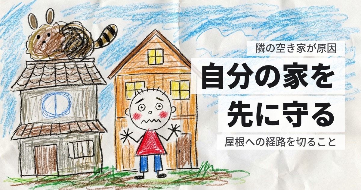 隣の空き家にハクビシンがいる｜自分の家に入られる前にできること