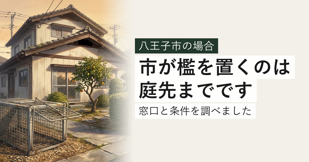 八王子市のハクビシン・アライグマ対応