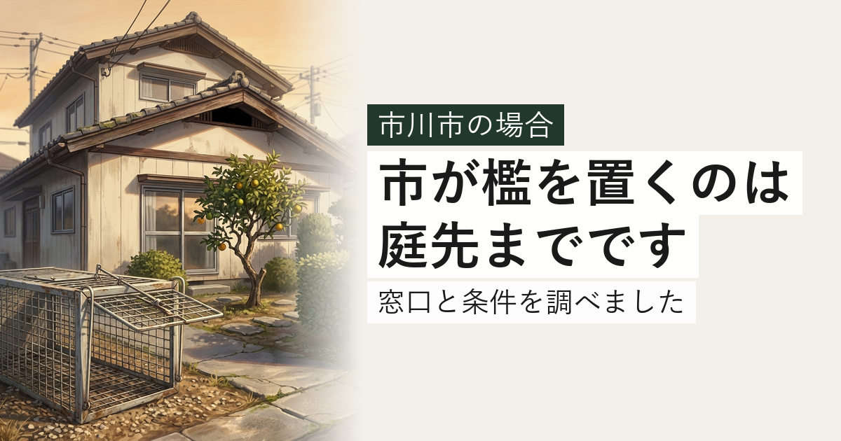 市川市のハクビシン・アライグマ対応