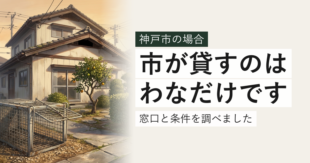神戸市のハクビシン・アライグマ対応