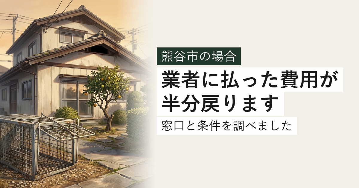 熊谷市のハクビシン・アライグマ対応