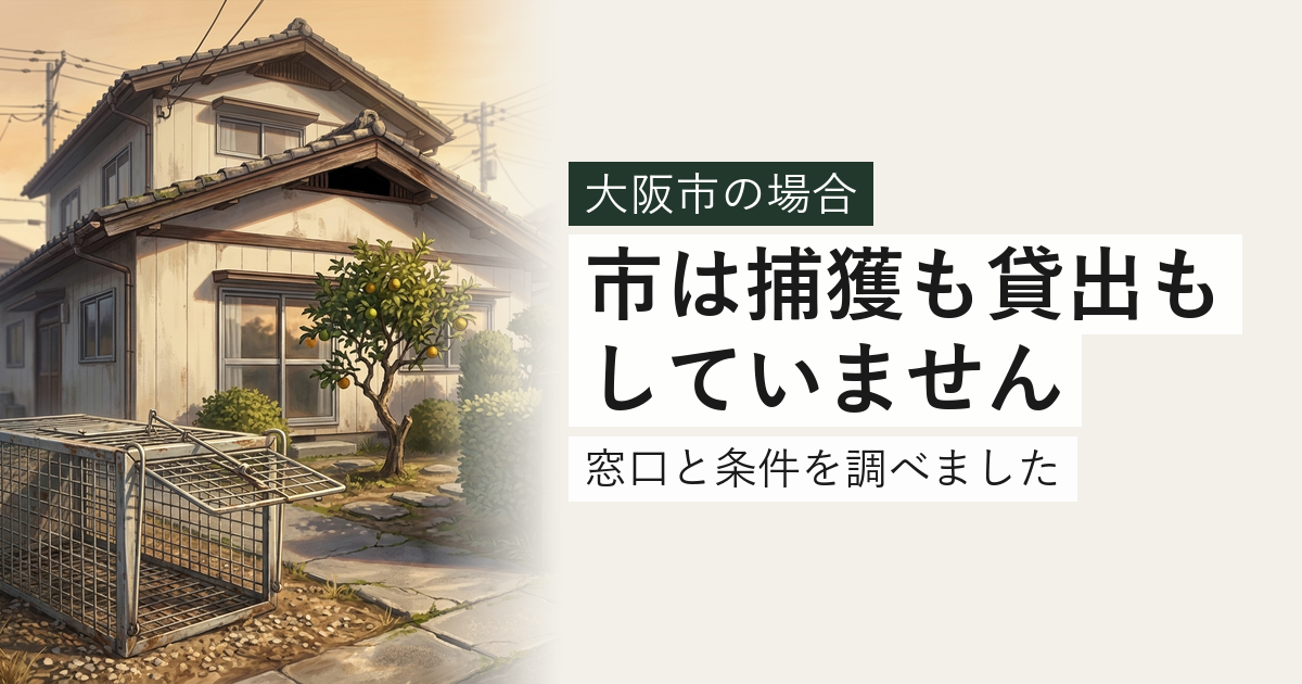 大阪市のハクビシン・アライグマ対応