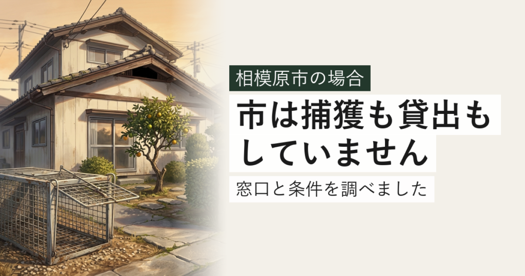 相模原市のハクビシン・アライグマ対応