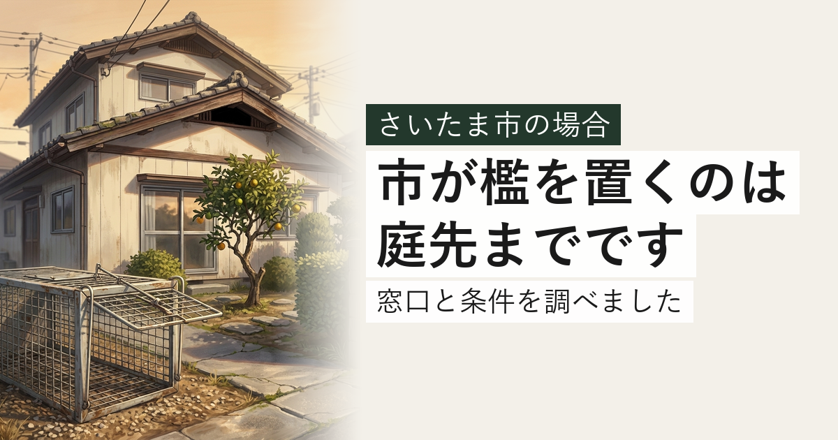 さいたま市のハクビシン・アライグマ対応