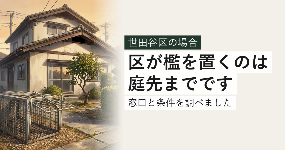 世田谷区のハクビシン・アライグマ対応